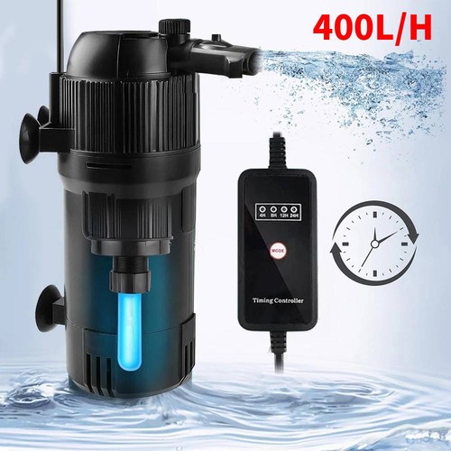 Internal aquarium fish - aquarium,