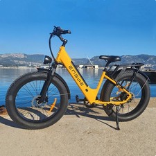26" Electric Bike 250W 48V Fat