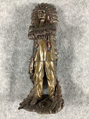 Chief sitting bull native - chief,