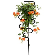 Plant Climbing Trellis Metal