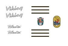 Viking Mileater Bicycle Frame Decals, Transfers  n.11