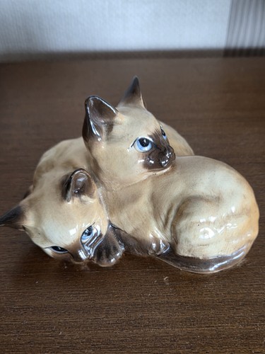 Lovely beswick kittens cat - lovely,