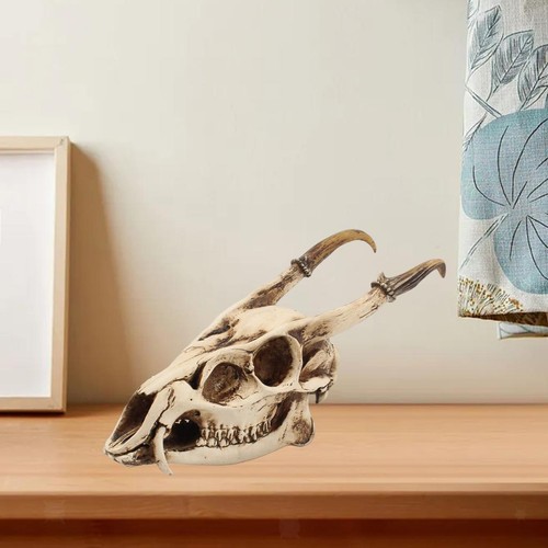 Goat skull head sculpture - goat,
