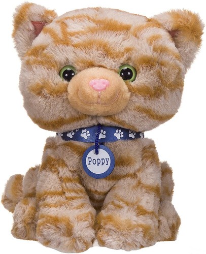 Poppy maine coon - poppy,
