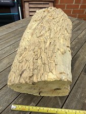 Large Boxwood Log With 1 Crack
