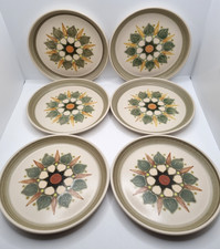 6 Vintage Denby Langley Sherwood Side Plates 6.5" 16.5cm Diameter Very Rare VGC