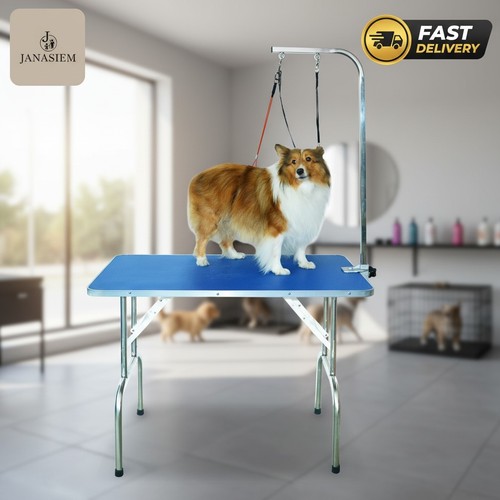 Professional pet grooming - professional,