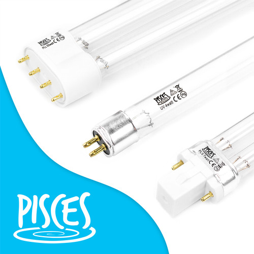 Ultra violet light bulb - violet,