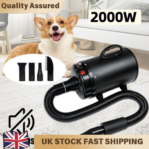 2000w professional dog hair - professional,