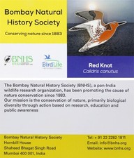 RSPB Pin Badge International