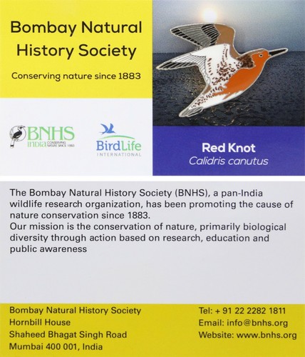 Rspb pin badge international - badge,