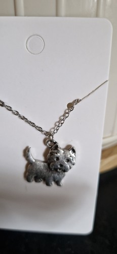 Cute west highland - cute,
