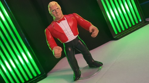 Bobby the brain heenan - brain',