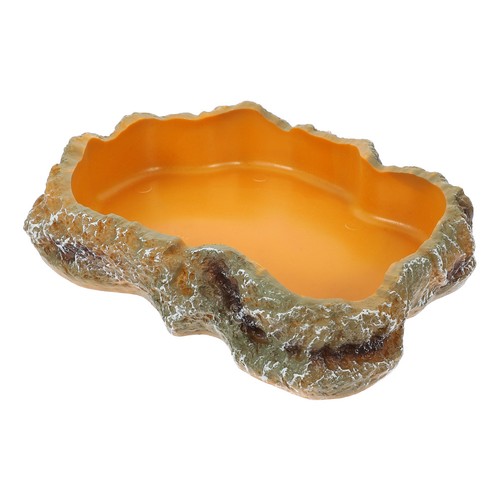 Terrarium food basin water - food,