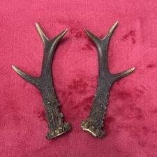 PAIR OF ROE DEER ANTLERS 