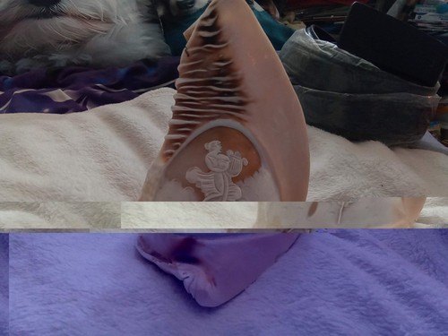 Original conch seashell carved - original,