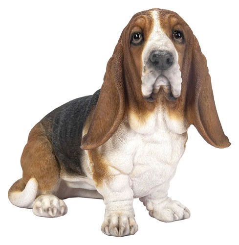 Vivid arts basset - arts, dog