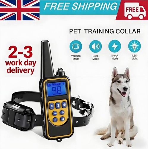 800m electric pet - electric,
