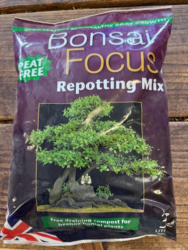 Compost bonsai focus - -,