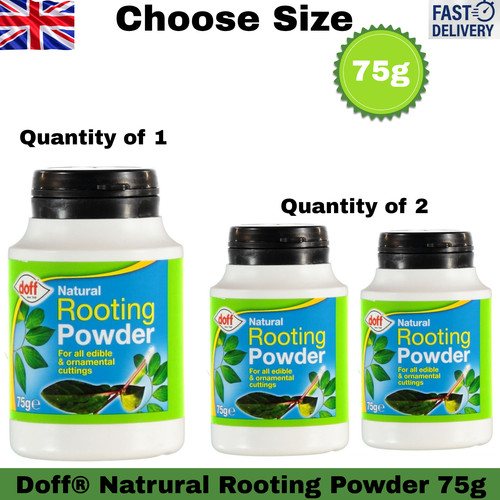 Doff natural rooting - 2x,