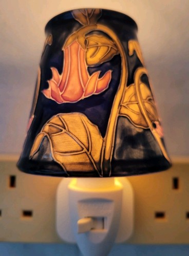 Night light plug - night, in