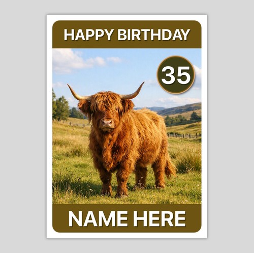 Highland cow cattle - highland,