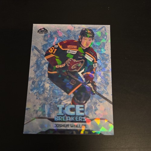 Josh waller ice breakers - ice,