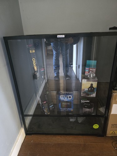 Komodo glass vivarium reptile - komodo,