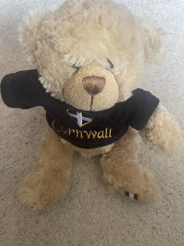 Keel toys cornwall teddy - keel, bear