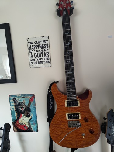 Prs custom - prs(paul, reed