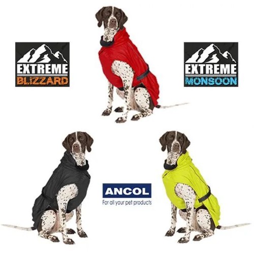 Extreme weather dog coat - weather, ancol