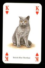 1 x playing card of a cat