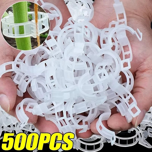 100x clip tomato and - 100x,