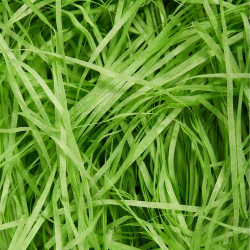 100g green shredded - 100g, tissue