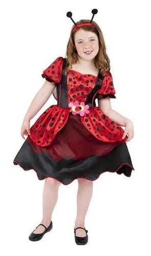 Childs lady bug - childs,