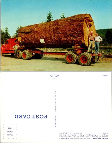 Vintage giant fir - fir, truck