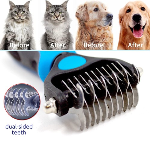 Professional pet dog cat - dog,