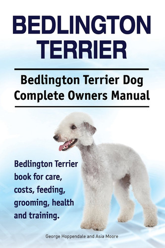 Bedlington terrier - terrier.,