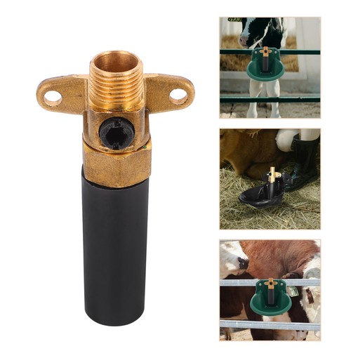 Farm livestock water bowl - water,