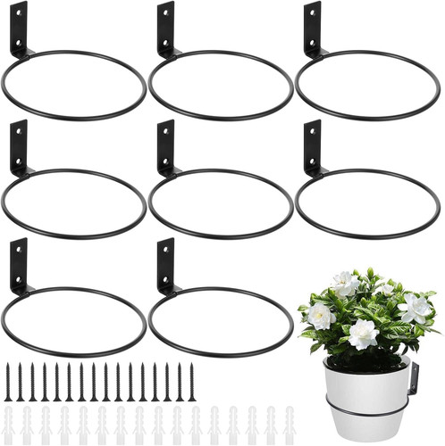 Pack inch flower - inch, pot