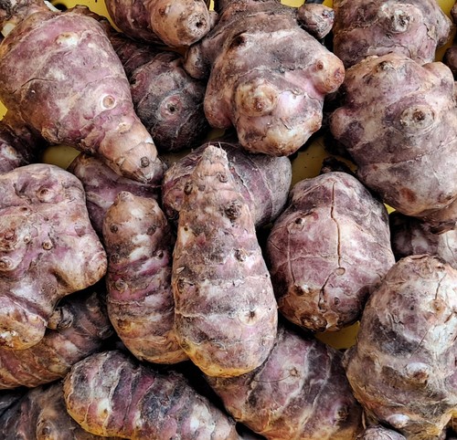 Jerusalem artichoke tubers - jerusalem,