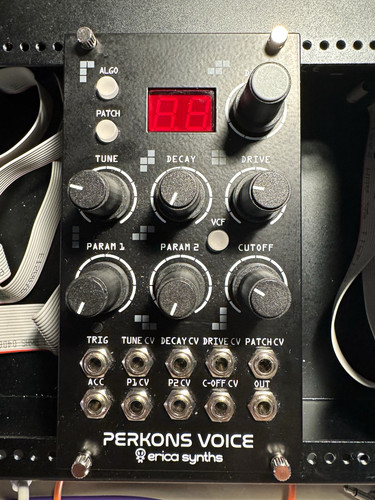 Erica synths perkons voice - erica,