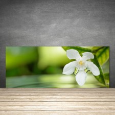 Kitchen Splashback 125x50