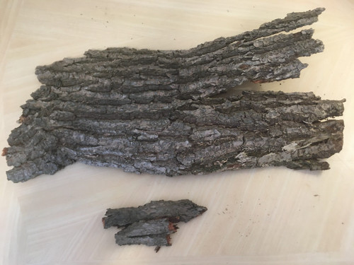 Piece oak bark - of,