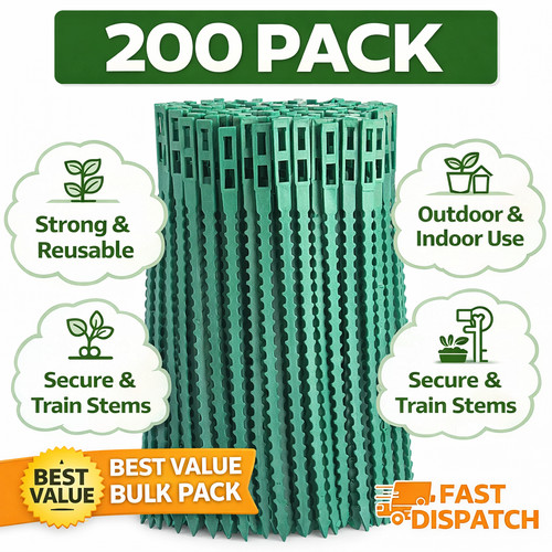 100 200 pack garden - 50, /