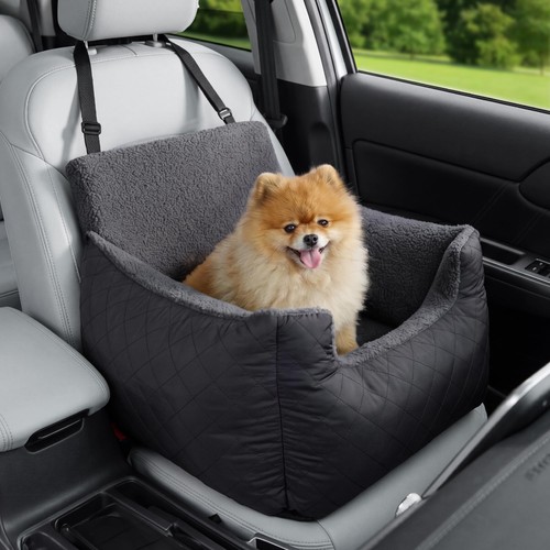 Lesure small dog - car, seat