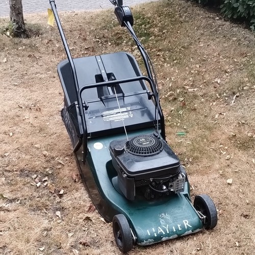 Hayter petrol push - petrol, lawn