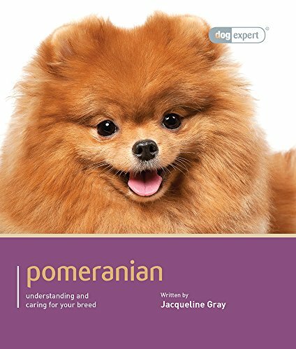 Pomeranian trudie - pomeranian, expert)-trudie