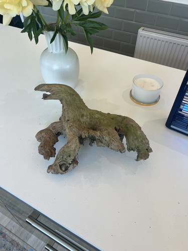 Large aquarium driftwood - large,