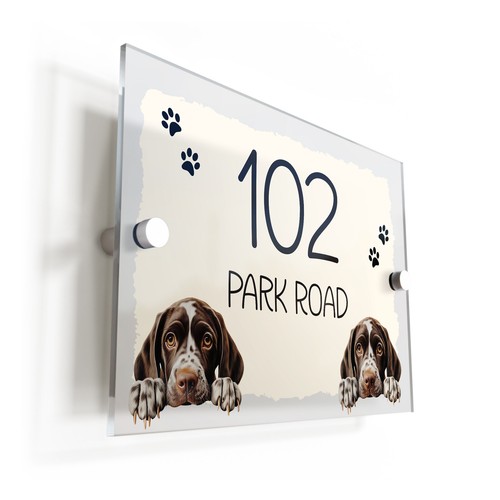 German shorthaired pointer - german,